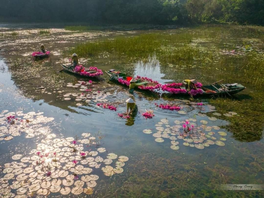Tam Coc Paradise Homestay Ниньбинь Экстерьер фото